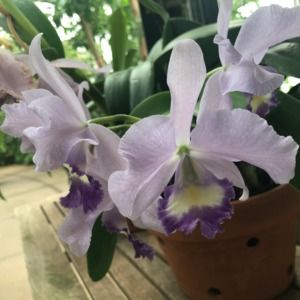 Meet your Posher, Lesley